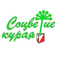 «СОЦВЕТИЕ КУРАЯ 2024» ЭСАФЕТА КЛУБОВ РЕСПУБЛИКИ БАШКОРТОСТАН «СОЦВЕТИЕ КУРАЯ 2024» ЭСАФЕТА КЛУБОВ РЕСПУБЛИКИ БАШКОРТОСТАН